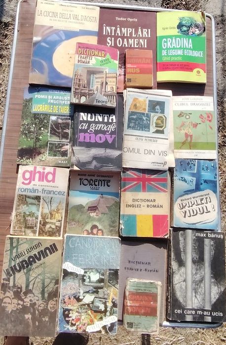 Cărți, salvați literatura