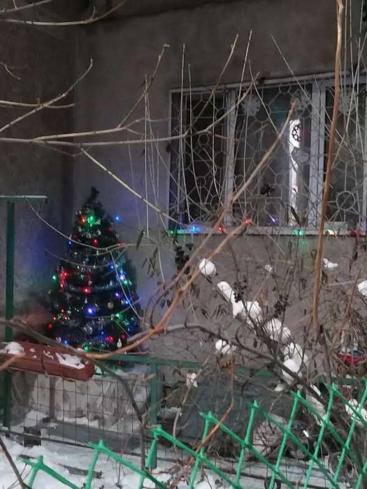 СРОЧНО! Продам елку