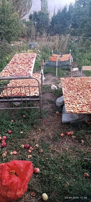 Дача 4ул 1 домик общ Обогатитель