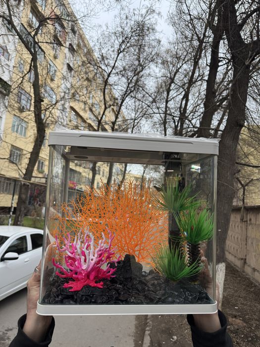 Akvarium kamplektida filtr kislarod va lampalari boladi