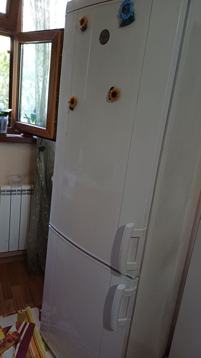 Холодильник Электролюкс