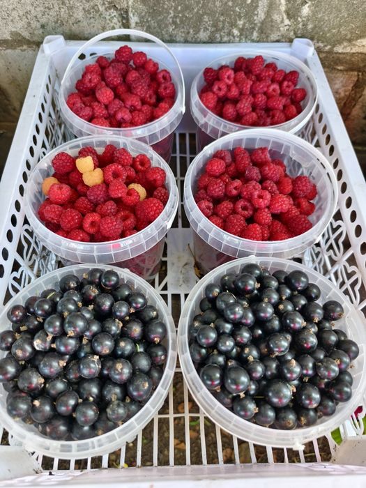 Варенье малиновое