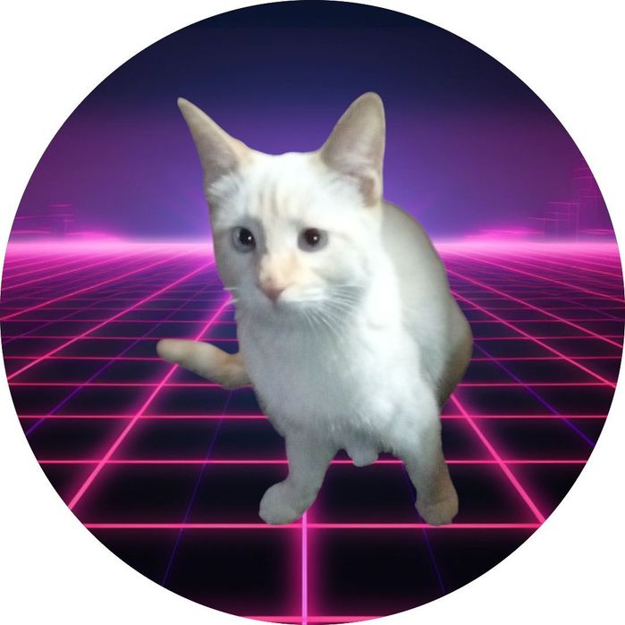 Продаются тайские котята