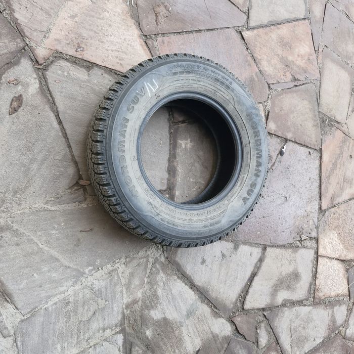 Шины баллон Nordman