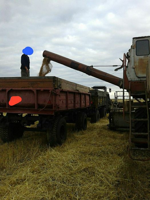 Готов к работе комбайн НИВА