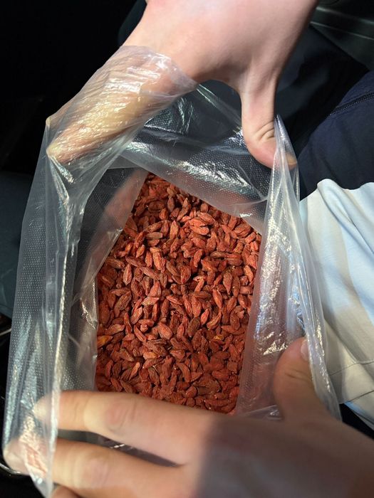 Годжи сушеные (алақат)