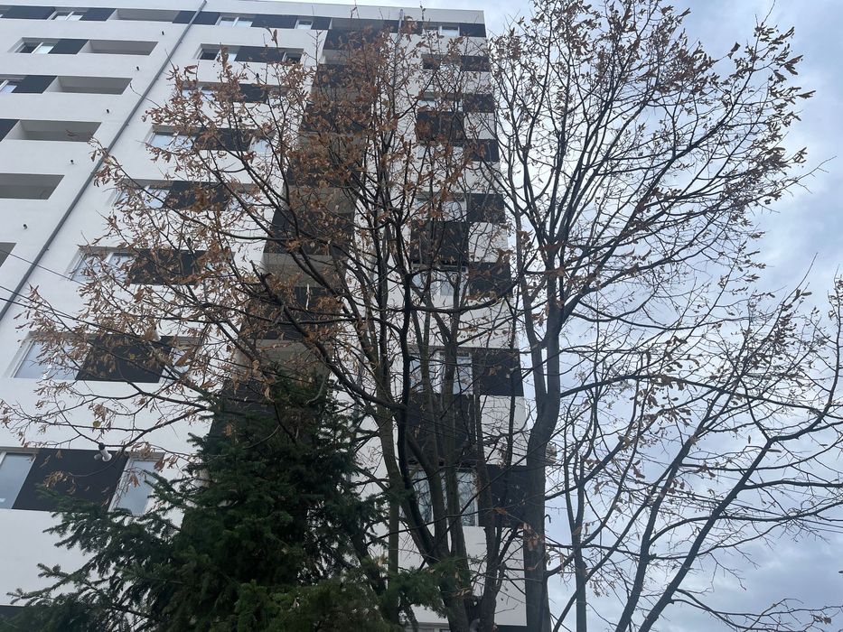 Studio nou - Centrala proprie Comision 0%