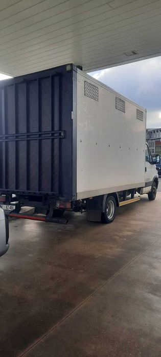 Autoutilitară transport animale