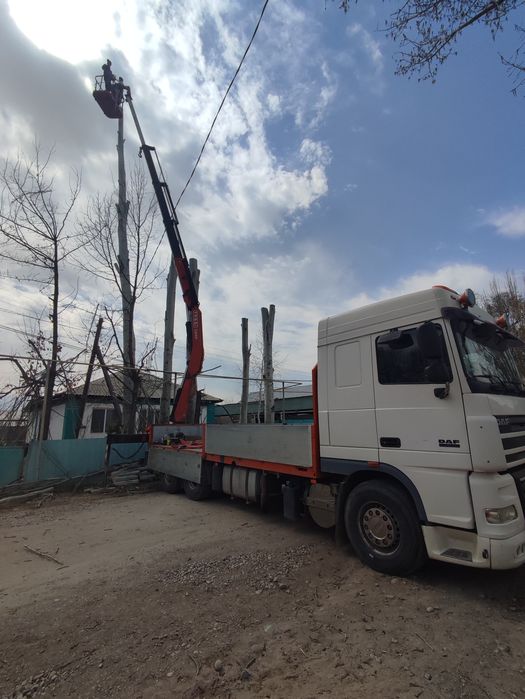 Услуги Манипулятора