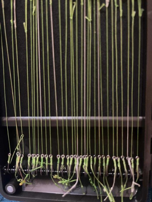 Diverse monturi pescuit!