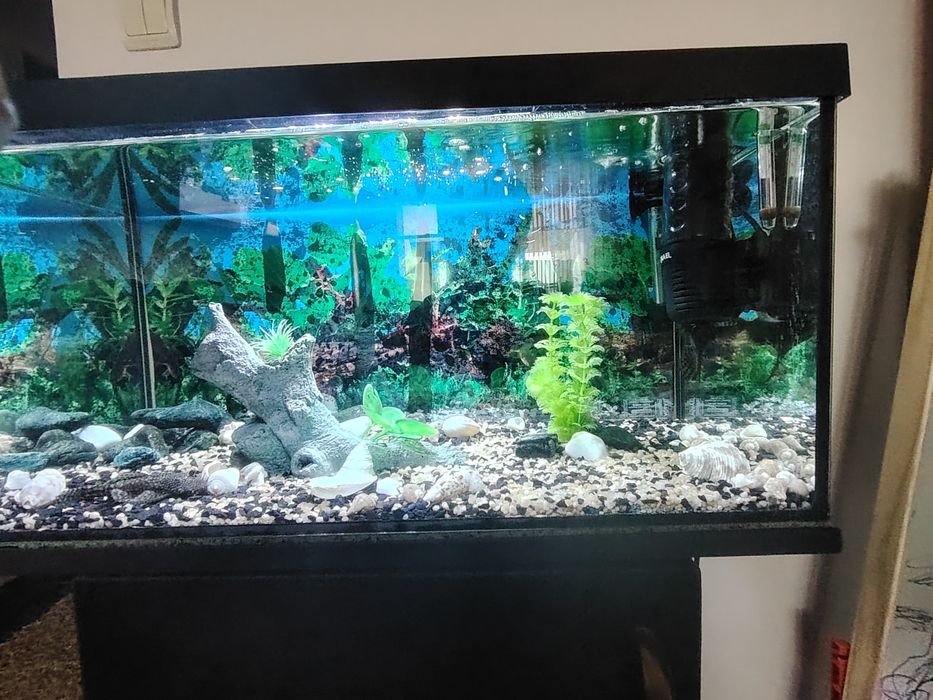 Vând  acvariu complet