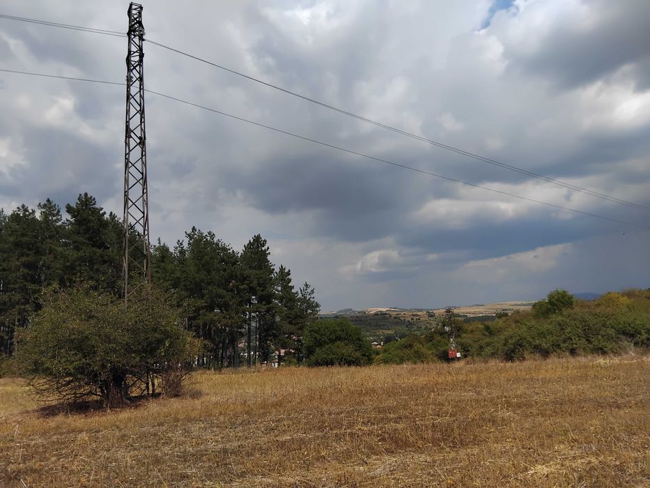 Продава се Парцел в Батановци - 4451 кв.м за 5 €/кв.м - Снимка #3