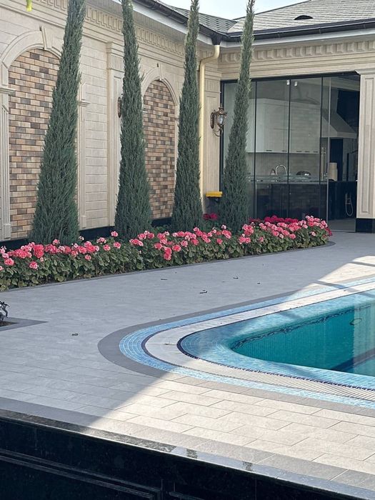 Rulon gazon Samarkand