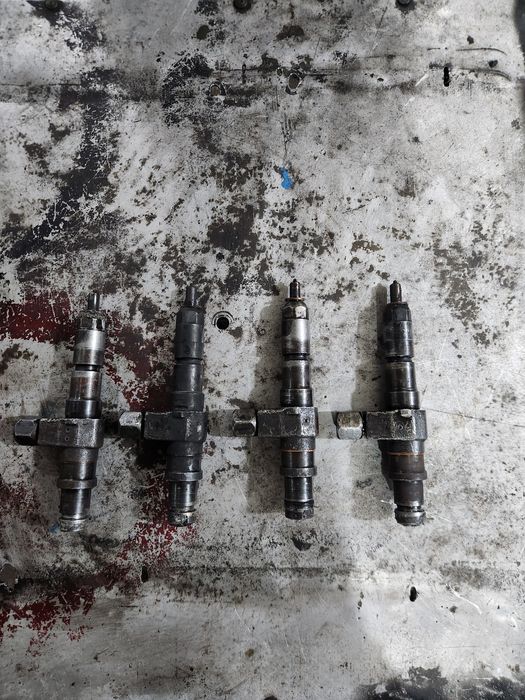 BT Gusunichniy altayniki