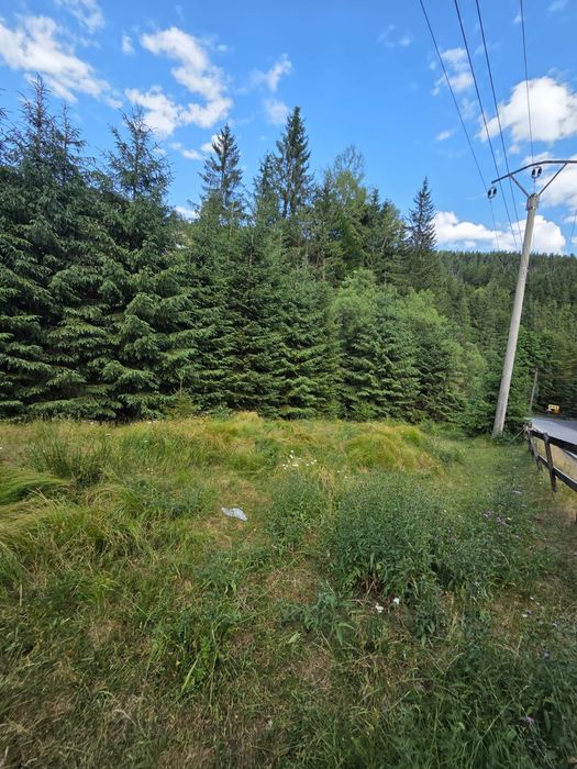 Vand 270m Teren la Sosea  Rîu în Spate Aproape de Vartop Arieseni Alba