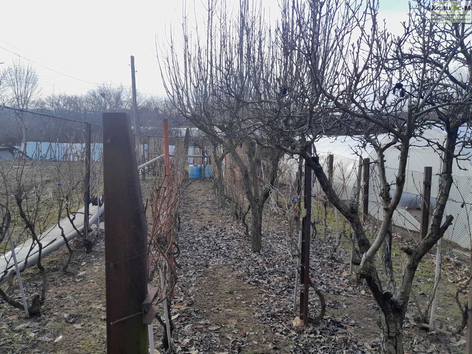 Къща с двор в с.Николово на 4 км. от гр.Монтана