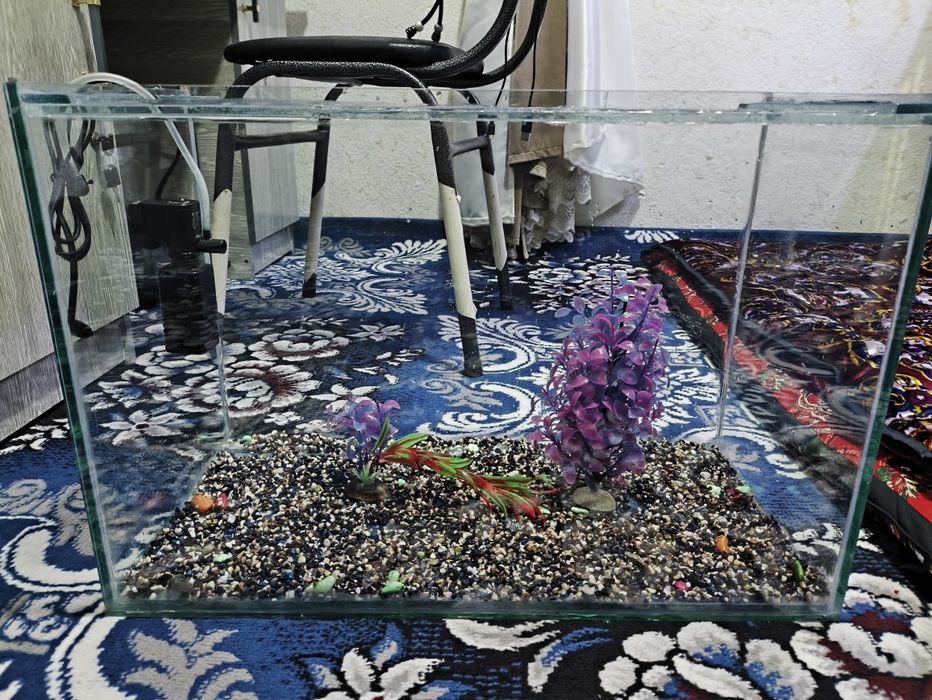 Akvarium sotiladi razmeri 60 ga 40 Eni 30 sm