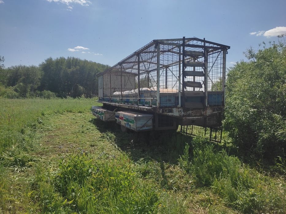 Продам пчелоприцепы-пчелопавельоны