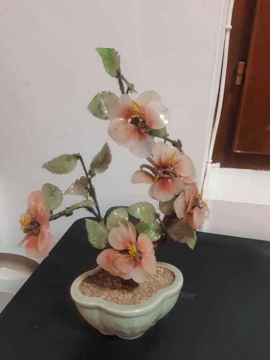 Pomișor (bonsai)jad