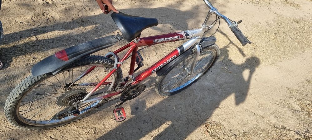 Velik gonchik sotiladi