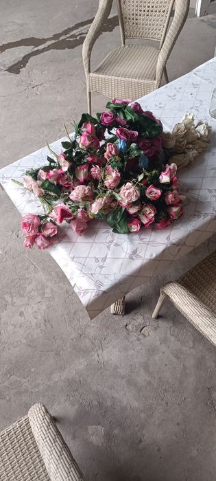 Суниий этой атргуллари