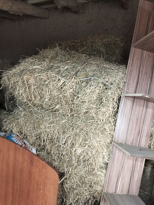 Сено прессованный