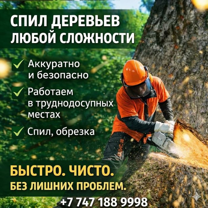 Спил деревьев любой сложности