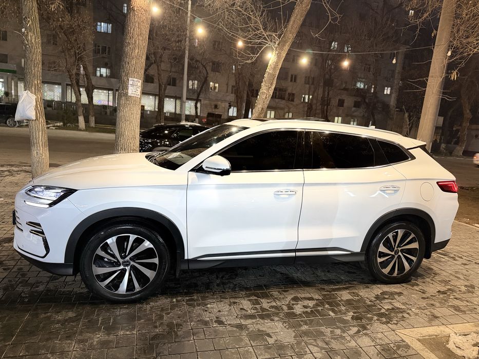 BYD Champion Gibrid 110km FL