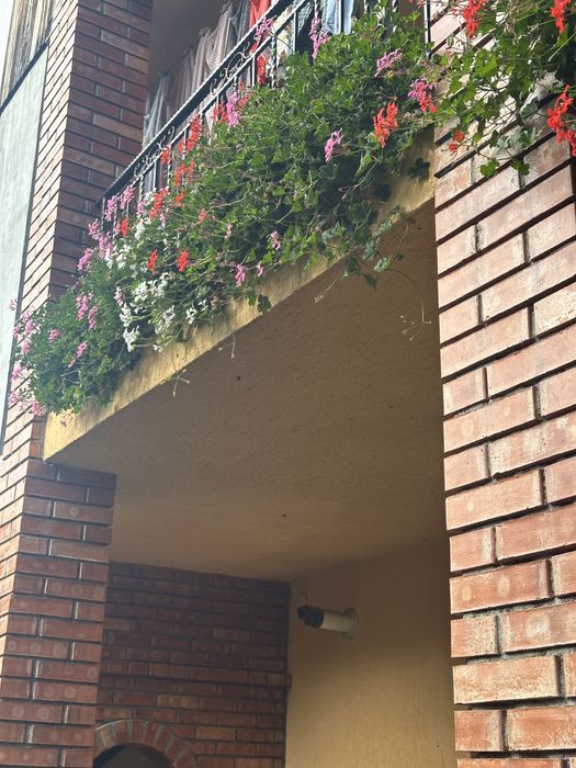 Casa de vanzare in statiunea Targu Ocna