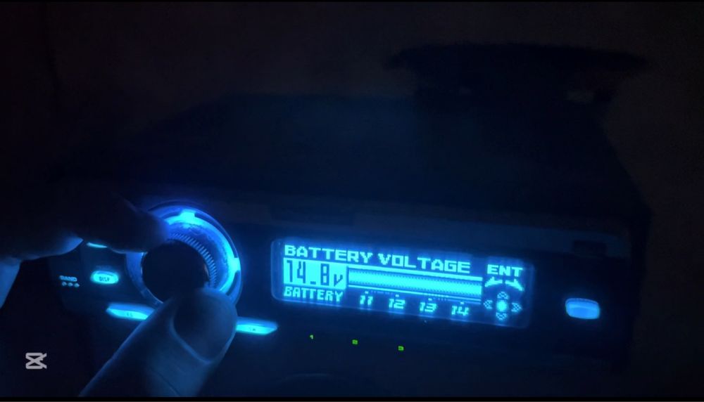 Пионер дельфин.