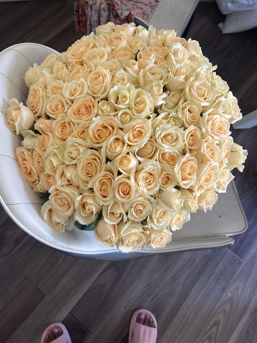Продам  101 кремовая роза