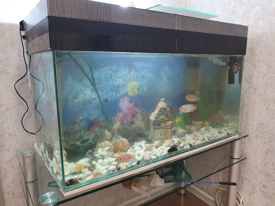 Продаю два аквариума с рыбками