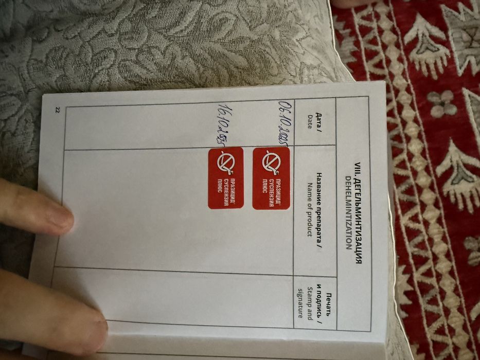 Спаниель продам.