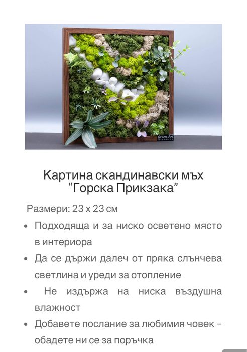 Зелена картина от скандинавски мъх
