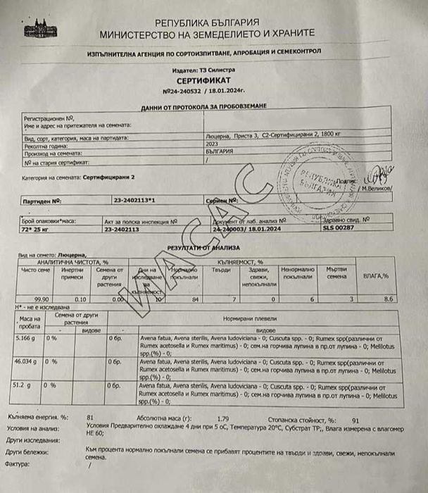 Люцерна, семена люцерна, люцерново семе