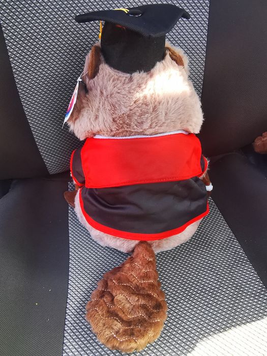 Jucarie Titi Studentul