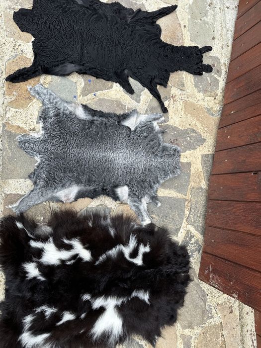 Blană / blănuri piei / piele