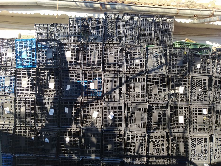Vând lădițe de plastic si baxuri de banane