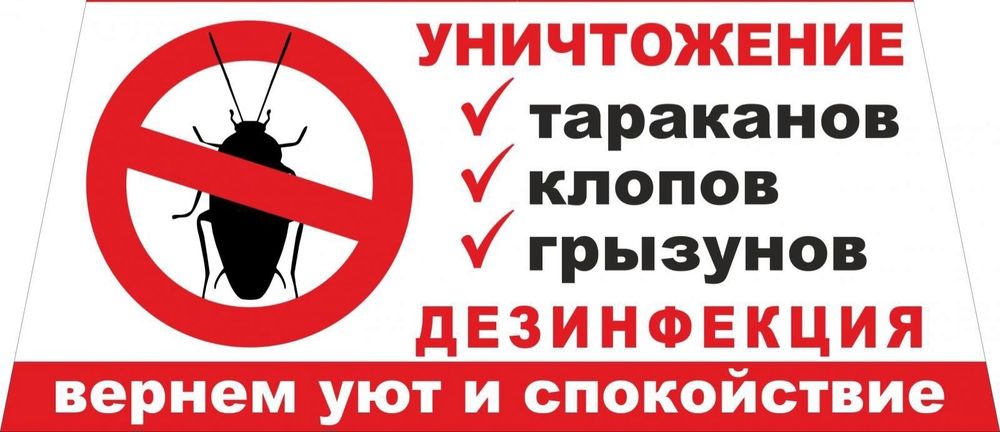 Дизенфекция качественно