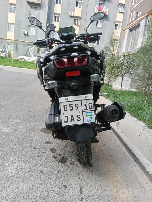 Tank drongo dokument nomer bor