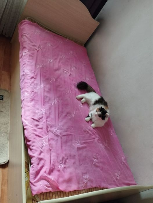 Кровати 2 штуки.