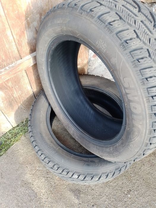 Cauciucuri Auto Firma Riken 225 55 r17