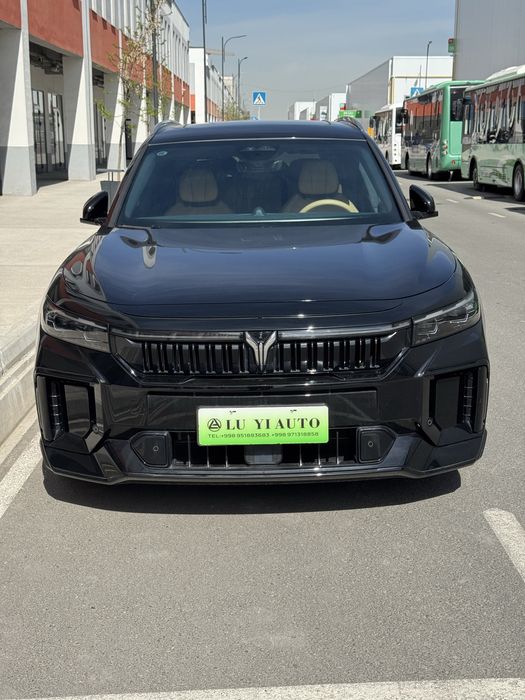 Voyah free 210/14000km probeg