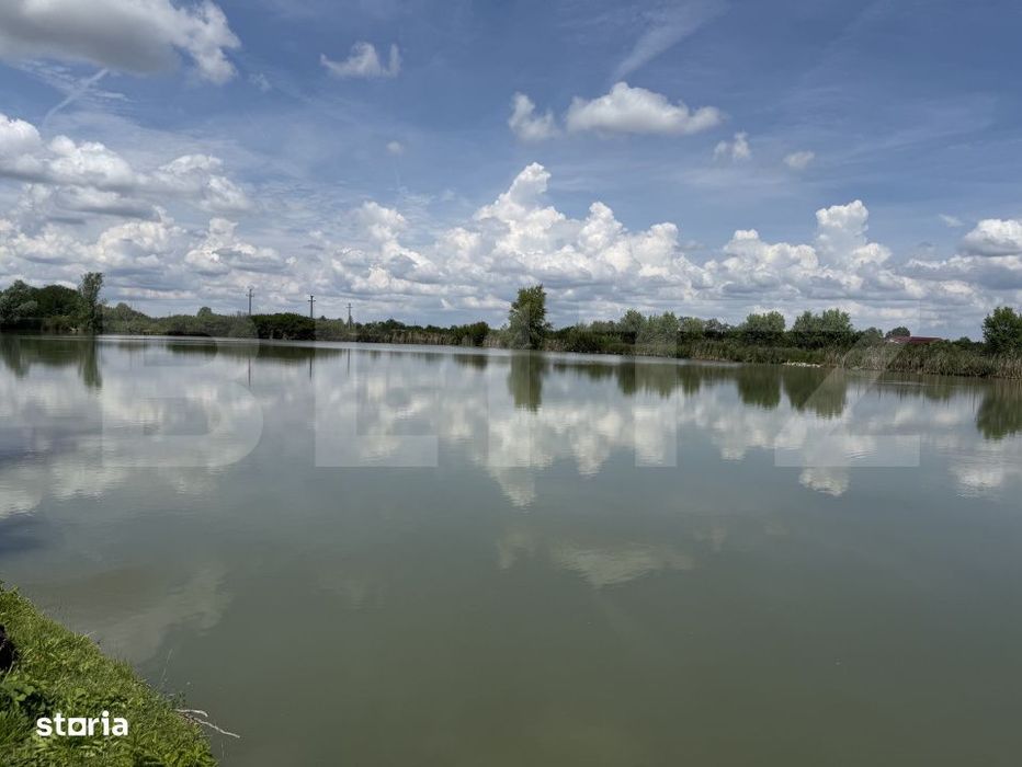 Teren cu livada si lac populat cu peste, 37.620 mp, zona Oar - Vetis