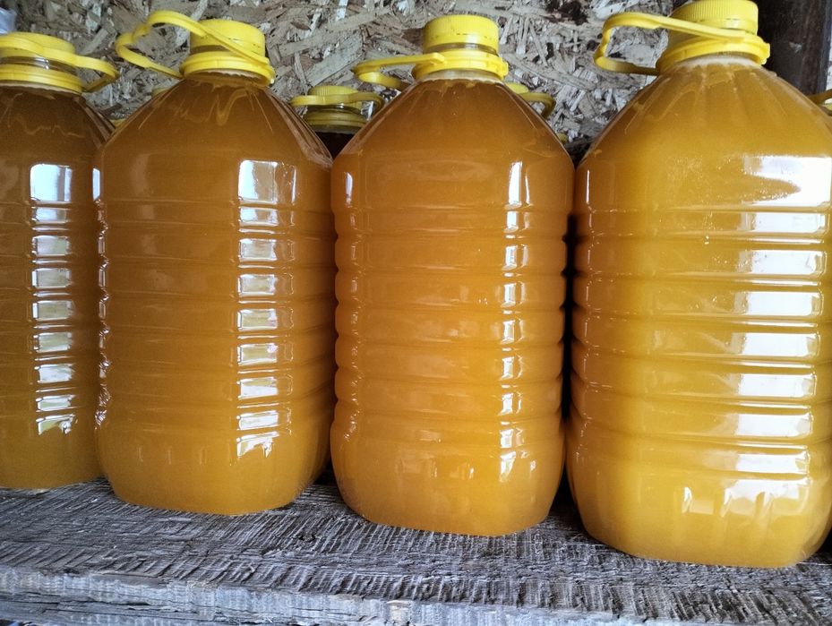 Продам мед(8 тысяч - пятилитровка)