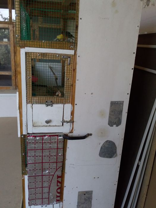 Продаётся  Волеьр