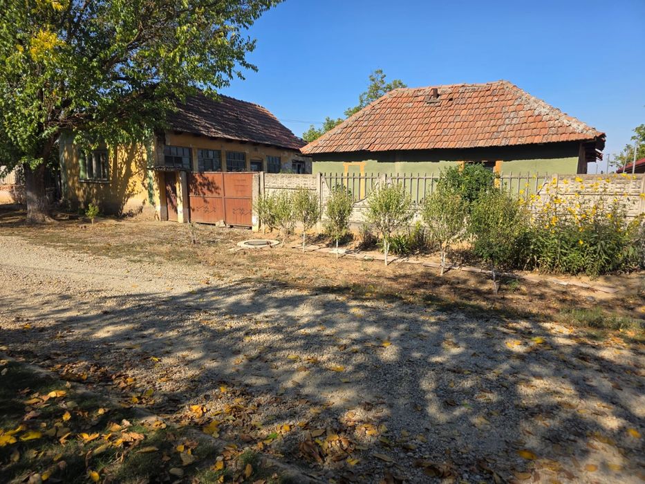 Casa cu teren Chisirid