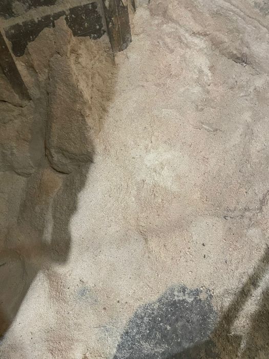 Rumeguș de brad verde