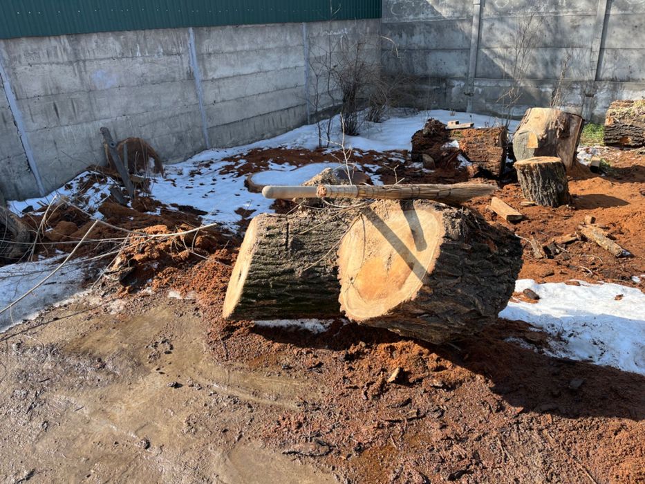 Карачаг пеньки нераспиленные