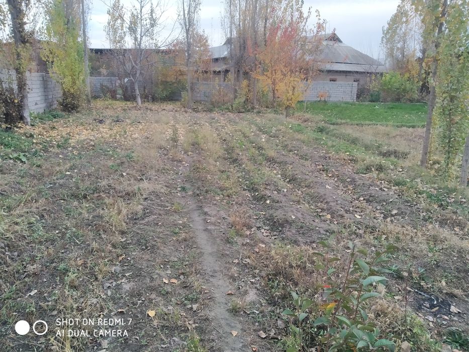 Yer sotiladi 8 soʻtix joy